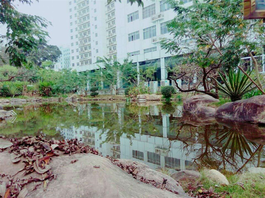 南宁市江南区人民政府